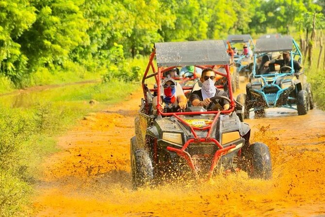 Guided Buggy Tour of Punta Cana