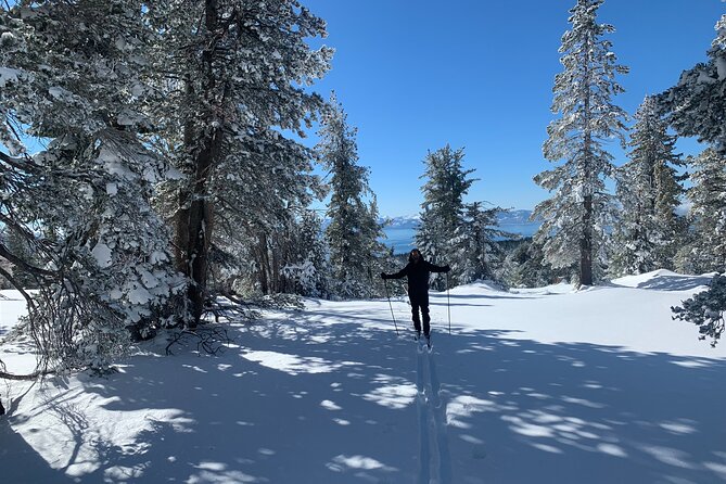 Guided Cross Country Skiing at Lake Tahoe