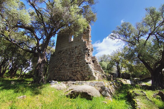 Guided Cultural Tour to Discover Luogosanto