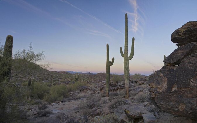 Guided Desert Sunrise or Evening/Sunset 2-Hour Hike at South Mtn