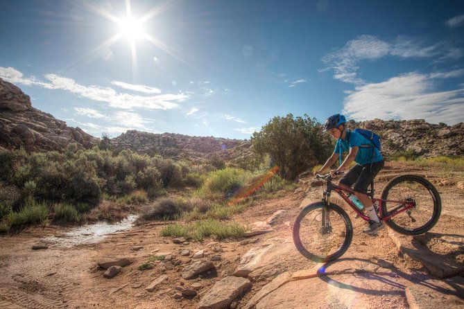Guided E-Mountain Biking Tour Review - Tour Overview
