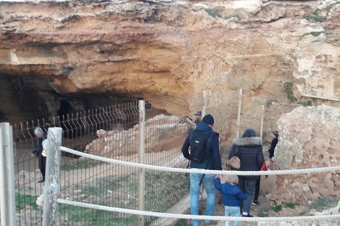 Guided Excursion Cap-Bon From Hammamet