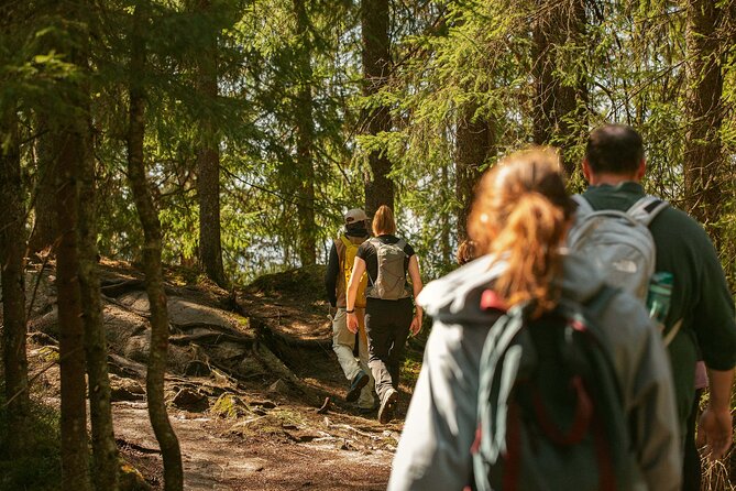 Guided Group Walk Tour in Norway Holmenkollen