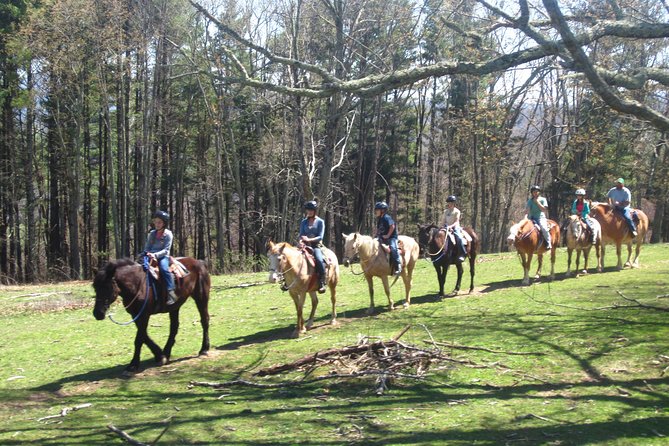 Guided Horseback Ride Through Flame Azalea and Fern Forest - Meeting and Safety Information