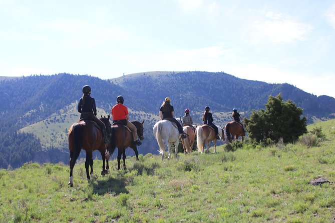 Guided Horseback Trek Through Blue Flower Trail - Preparing for the Horseback Trek