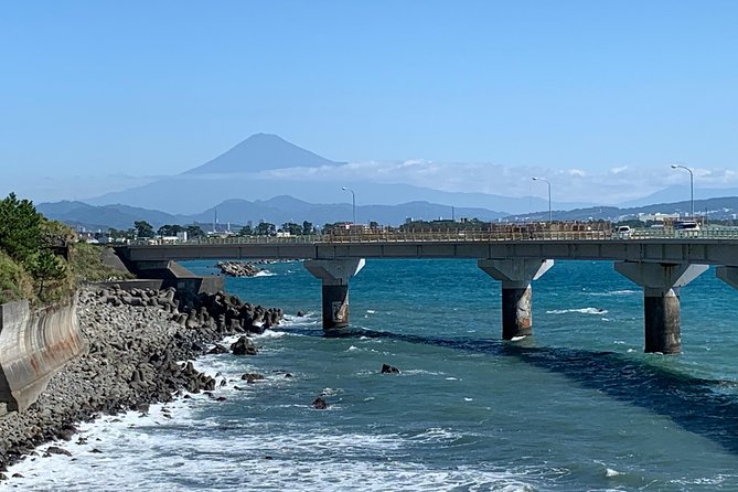 Guided Hybrid Bike Tour in Shizuoka City (Note: Not E-Bikes) - Included in the Tour