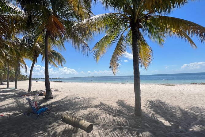 Guided Snorkel Experience, Free Videos in West Palm Beach