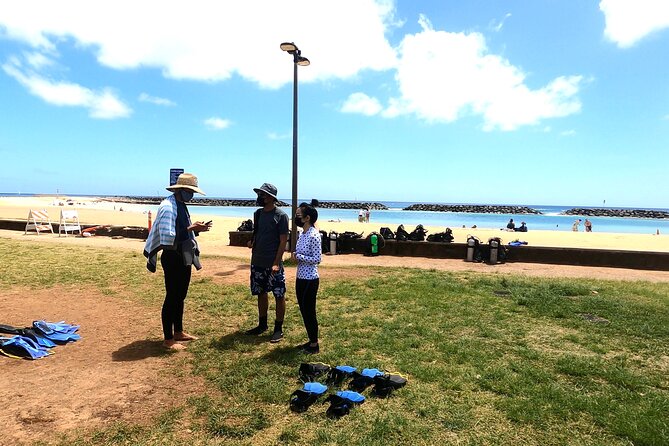 Guided Snorkel Tour for Beginners in Honolulu