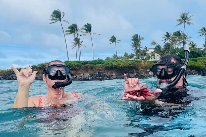 Guided Snorkeling for Beginners With Flotation Wetsuit - Equipment Provided for Safety