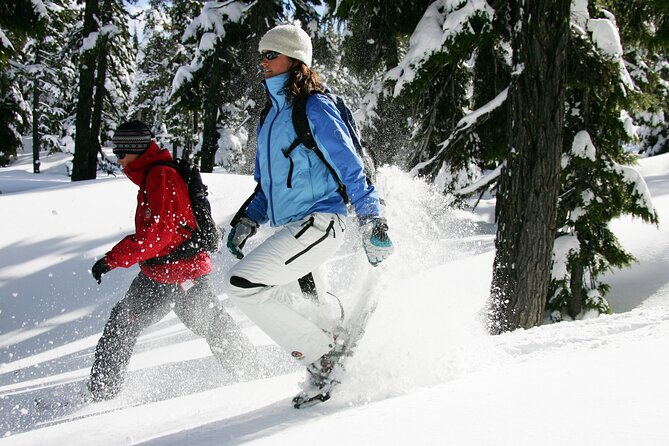 Guided Snowshoe Tour in Bend, Oregon Review