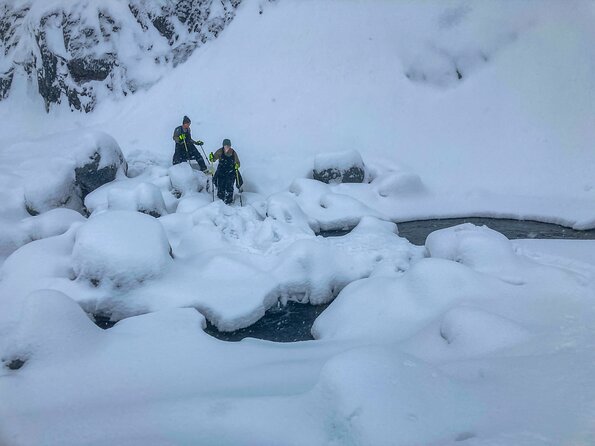 Guided Snowshoeing Adventure in Seward, Alaska