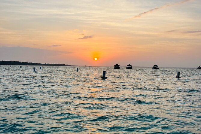 Guided Sunset and Dolphin Cruise Non Private in Destin, FL