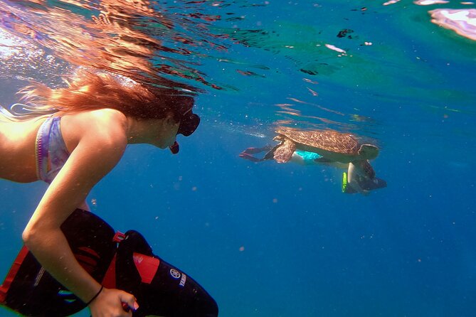 Guided Turtle Town Snorkel Tour With Sea Scooter - Makena - Tour Overview