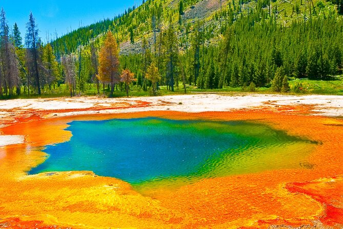 Guided Yellowstone Hot Spring Tour Review