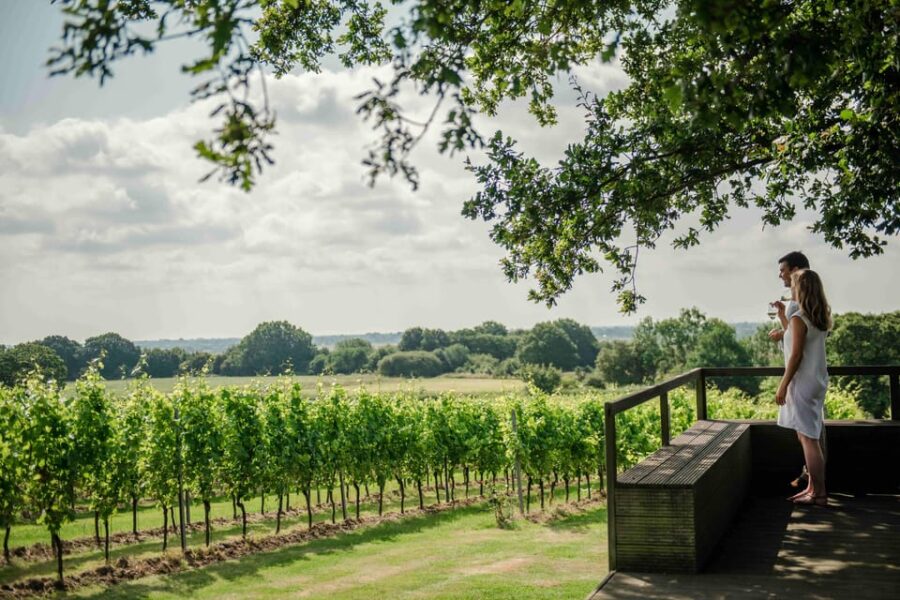 Gusbourne Wine Tasting 2pm - Event Overview