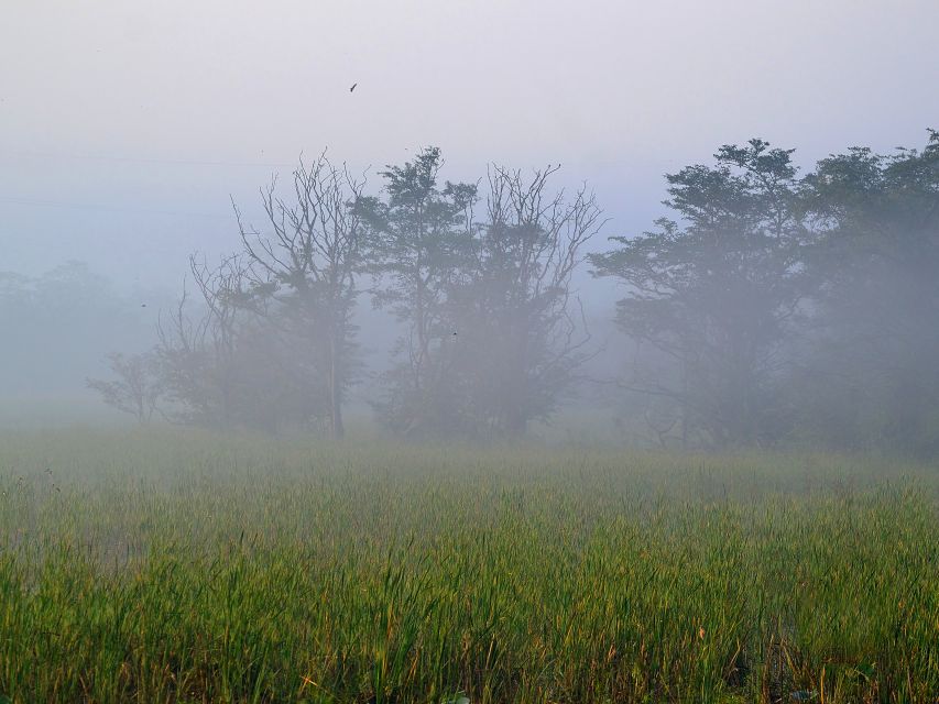 Habarana: Guided Birdwatching Tour