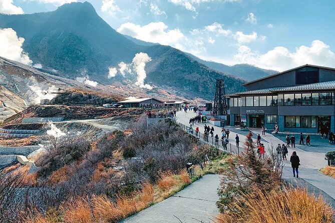 Hakone Full Customized Private Tour With English Speaking Driver