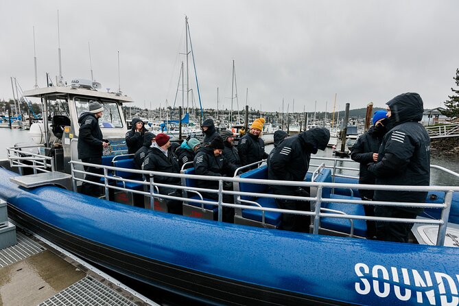 Half-Day Anacortes Whale and Wildlife Watching Guided Adventure