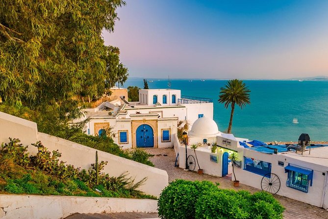 Half-Day Carthage, Sidi Bou Said Private Tour With Licensed Guide