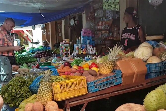 Half-Day Cultural Safari Tour From Cap Cana