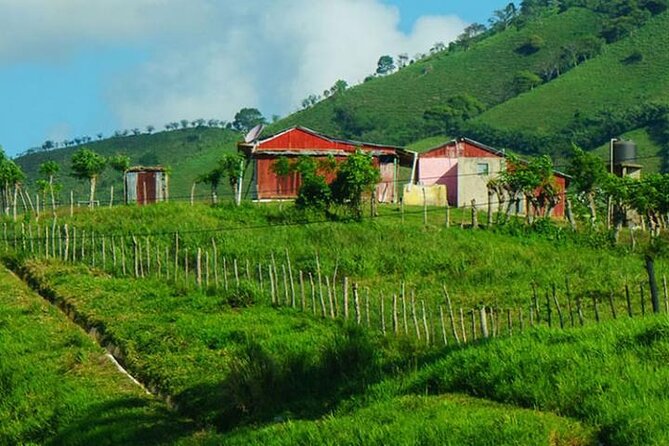 Half-Day Cultural Safari Tour From Uvero Alto