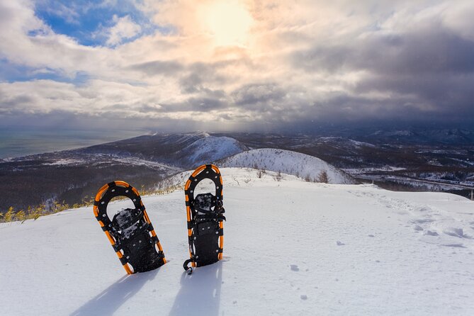 Half Day Guided Snowshoe Tour Review