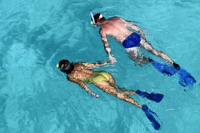 Half Day in Rubber Dinghy in Cala Coticcio With Snorkelling