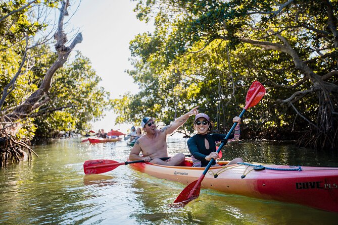 Half-Day Morning Trip From Key West With Kayaking and Snorkeling