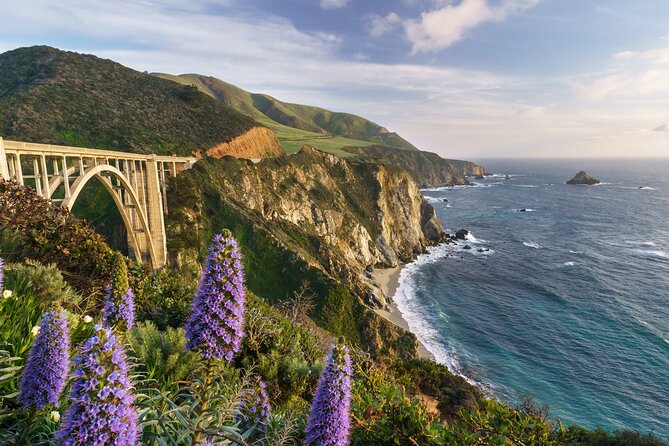 Half Day Private Big Sur Driving Tour Review