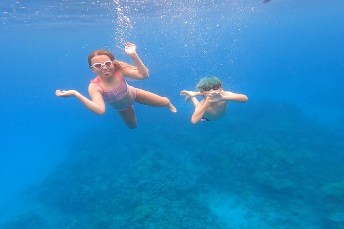 Half Day Private Cruise Tour With Snorkeling Review