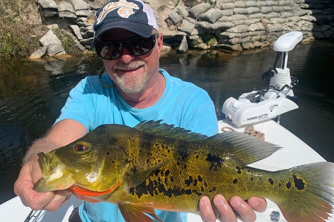 Half-Day Private Fishing Experience in Miami - Overview of the Experience