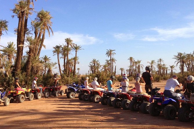 Half-Day Quad Bike Experience in Marrakech - Experience Overview