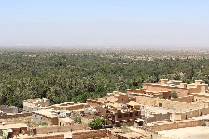 Half Day Tour : Agadir Goats in Argan Trees & Souk El Had Market