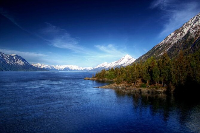 Half Day Tour Turnagain Arm – Alaska Wildlife Conservation Center