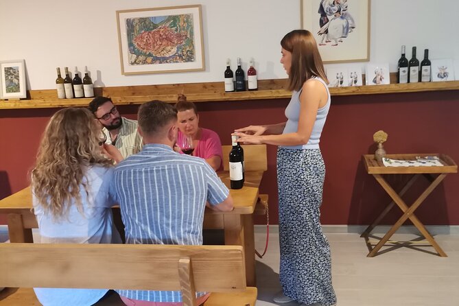 Half-Day Wine Tasting With Snacks and Ston Place Visit - Overview of the Experience