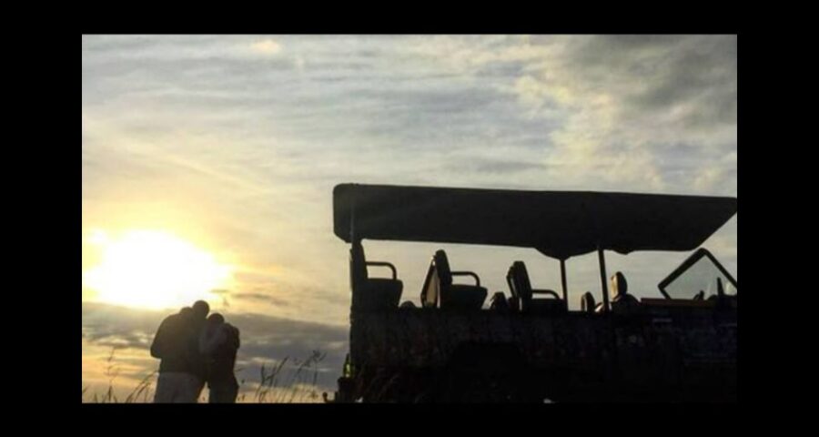 Hankey: Pabala Nature Reserve Game Drive & Picnic With Wine