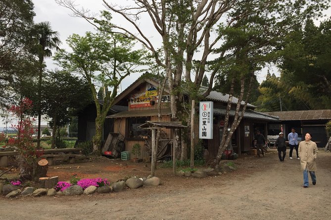 Harvest Experience (Rural Cuisine Using Seasonal Vegetables)
