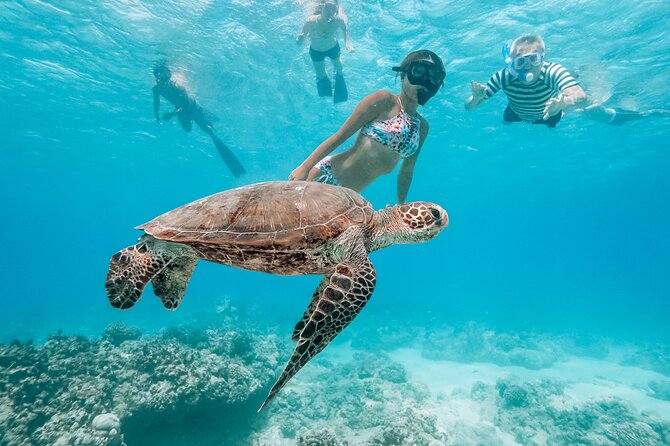 Hawaii Snorkeling With Turtles Boat Tour in Waikiki