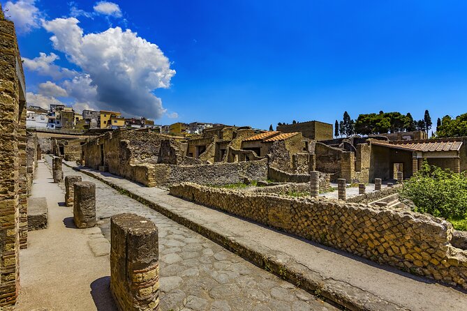 Herculaneum for Families Private Tour