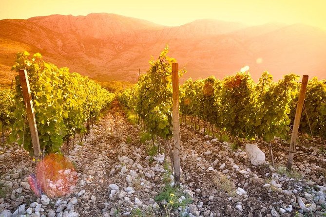 Herzegovina Wine Route in a Day Tour From Mostar