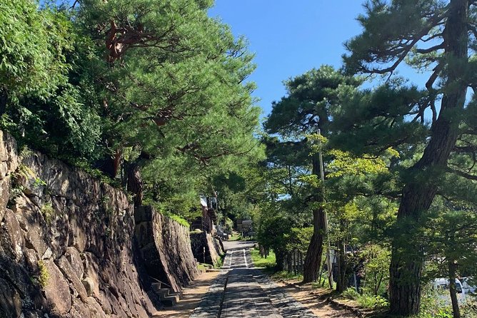 Higashiyama Walking Course in Takayama City Guide (About 70 Min) - Tour Overview