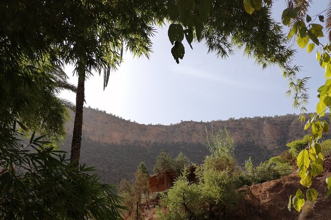 High Atlas Mountains and the Local Old Market Private Day Tour - Overview of the Tour
