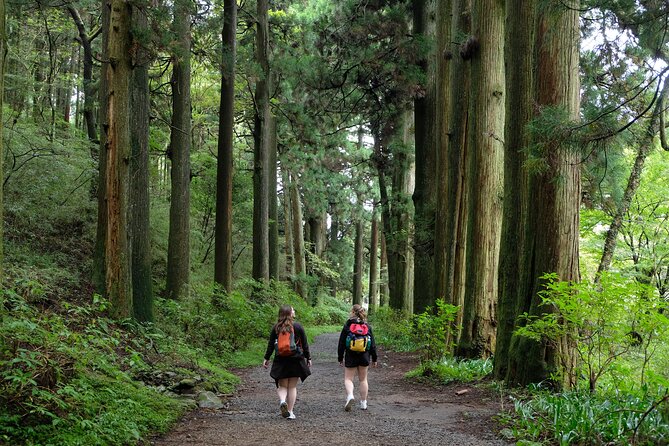 Hike Japan Heritage Hakone Hachiri (Half Day)