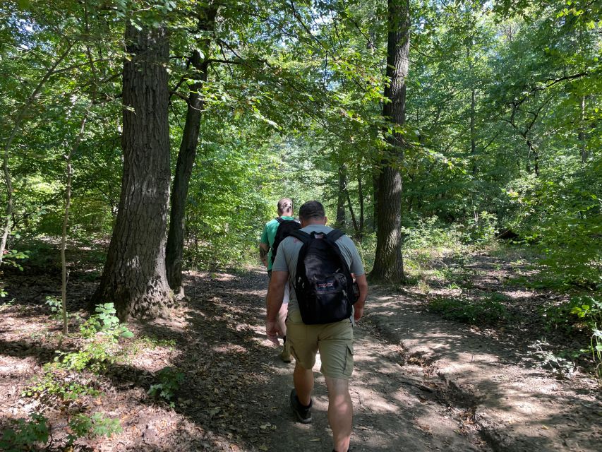 Hike, Nature & Picturesque View Over Budapest