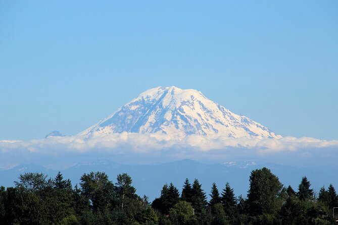 Hiking in Mount Rainier Private Tour From Seattle