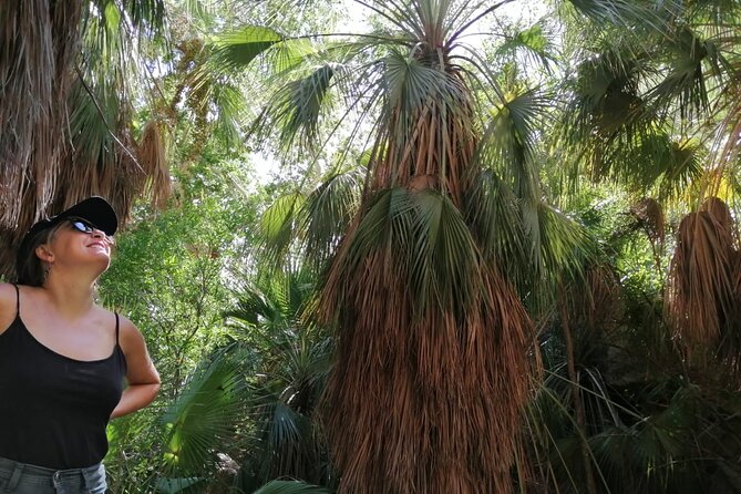 Hiking to Desert Palm Oases of San Carlos With a Biologist - Meeting and Pickup Details