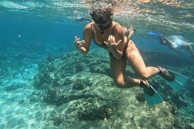 Hilo Sea Turtle Snorkel Adventure