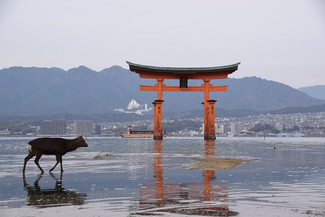 Hiroshima Custom Private Walking Tour With Licensed Guide (4/8h)