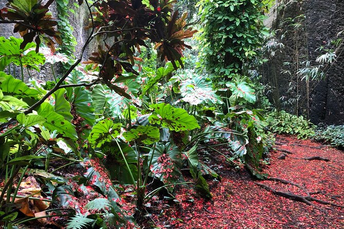 Historic Eco-Adventure Private Tour of Central Bermuda