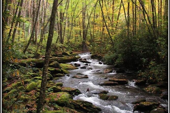 Historic River Town Ramble - A Glimpse Into Cherokee History